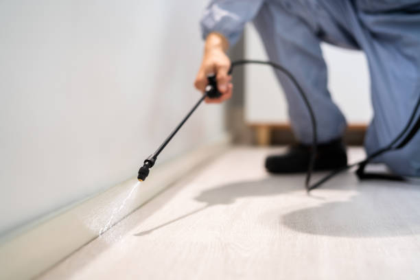 Licensed Pest Control service in West Burlington, IA - Show Me Pest Control