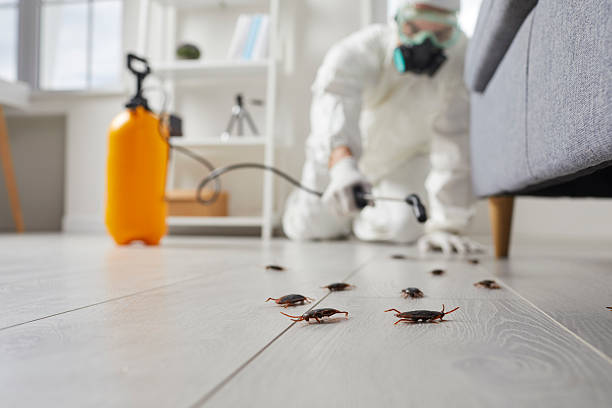 Commercial Kitchen Cockroach Control in West Burlington